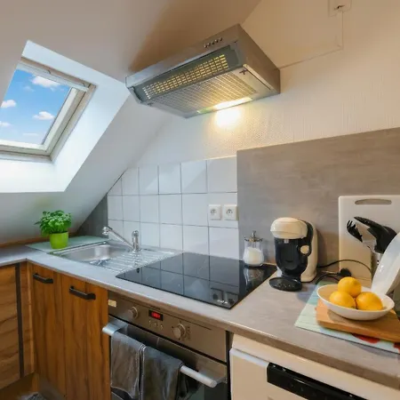 Appartement Cosy Au Cœur De Colmar