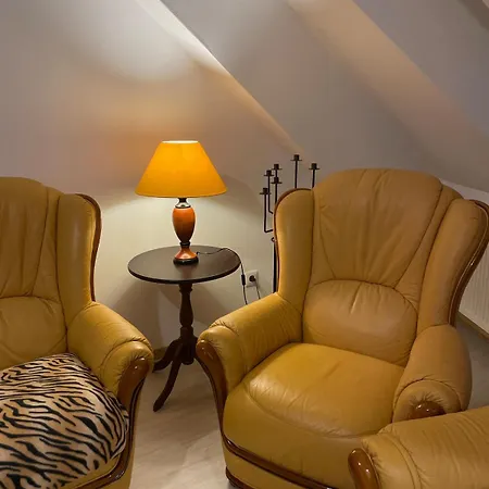 Appartement Cosy Au Cœur De Colmar
